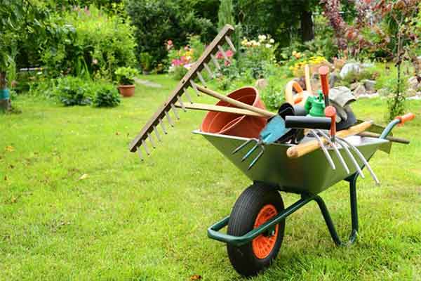 must-have-garden-tools-for-landscaping-businesses